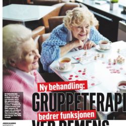 Skjermdump fra Dagbladet 11.februar 2019