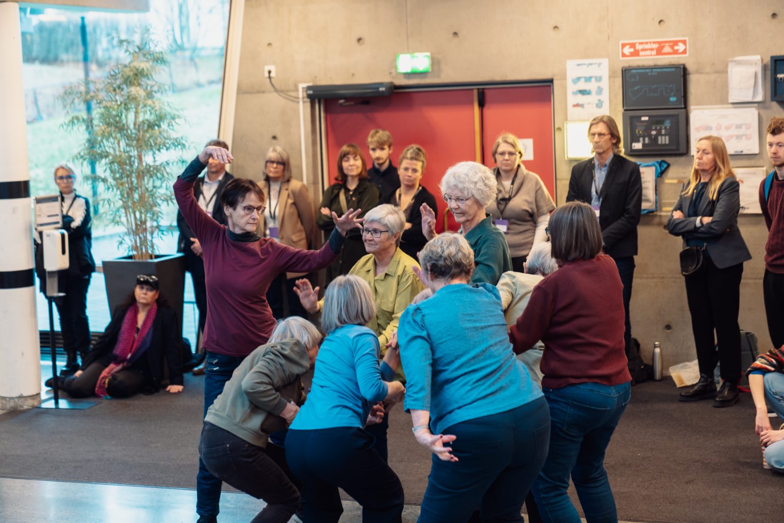 Creme Fraichè Dansekompani 60+ har danseoppvisning. Foto: Christian Trustrup, TA-Kreativ.